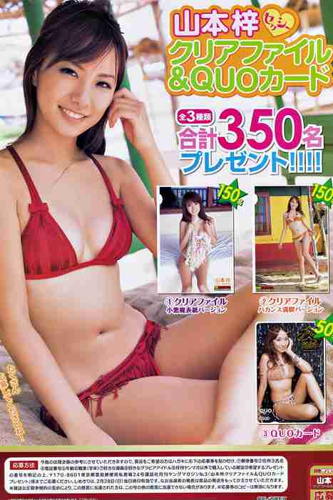 [日本写真杂志]ID0092 [Monthly Young Magazine] 2010 No.03 Azusa Yamamoto 山本梓 [16P]--性感提示：熟妇致命诱惑骚货丝袜美女非常细腻